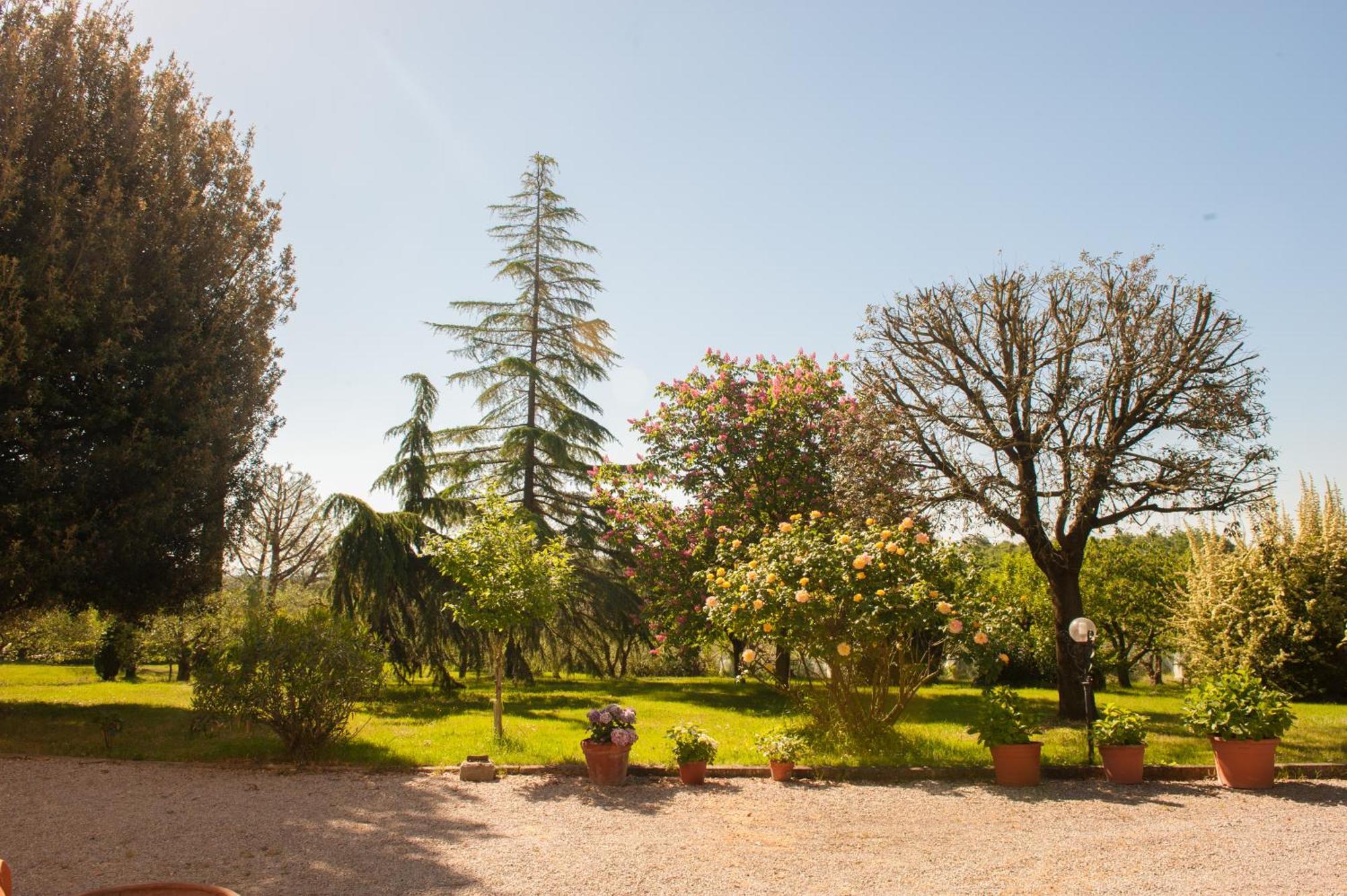 Agriturismo Villa La Morina Cortona Exterior foto